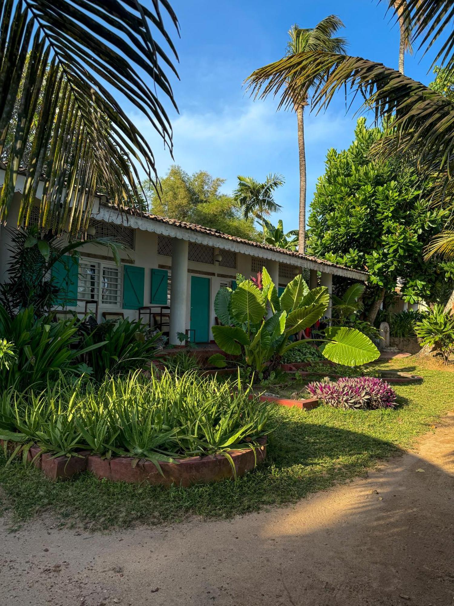 Palm Villa Mirissa Hotel&Spa 外观 照片